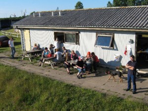 problemer med rejsning aabenraa problemer med rejsning aabenraa